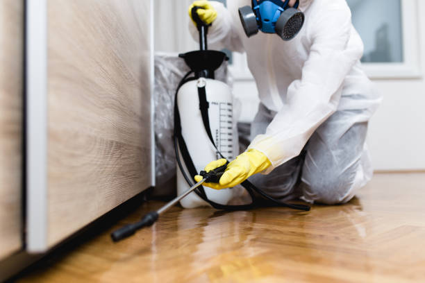 Best Commercial Pest Control Services  in Lakeway, TX