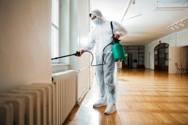 Best Pest Control Near Me in Lakeway, TX